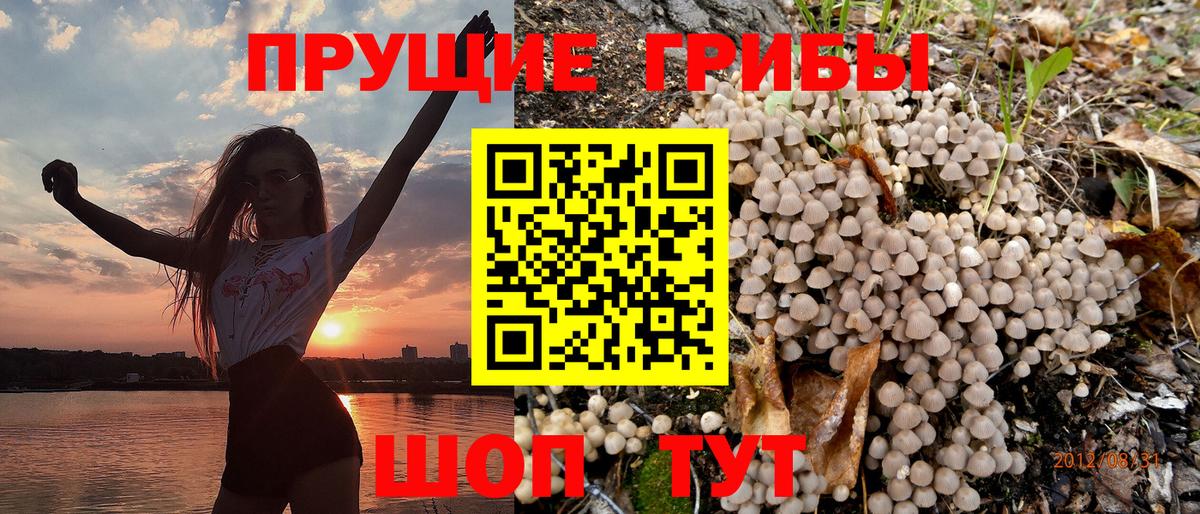 Галлюциногенные грибы ЛСД  Псилоцибиновые грибы ЛСД  Подольск  хочу   Вход с VPN 